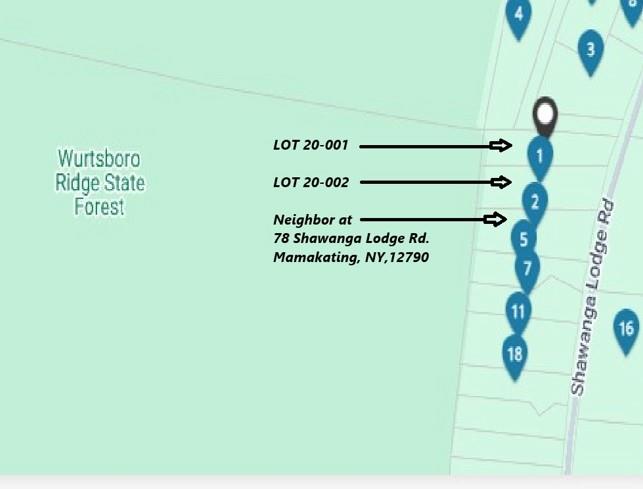 LOT 20.002 Shawanga Lodge Road, Wurtsboro, New York image 11