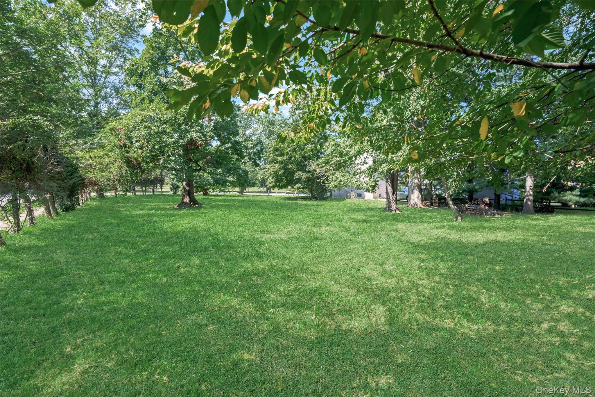 Orchard off Manhattan Manhattan