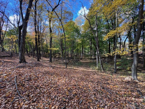 Vacant Land For Sale - 96 Somerstown Road<br/> Ossining, NY 10562