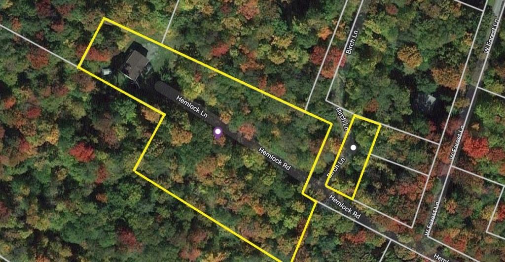 27 Birch Lane, Livingston Manor, New York image 35