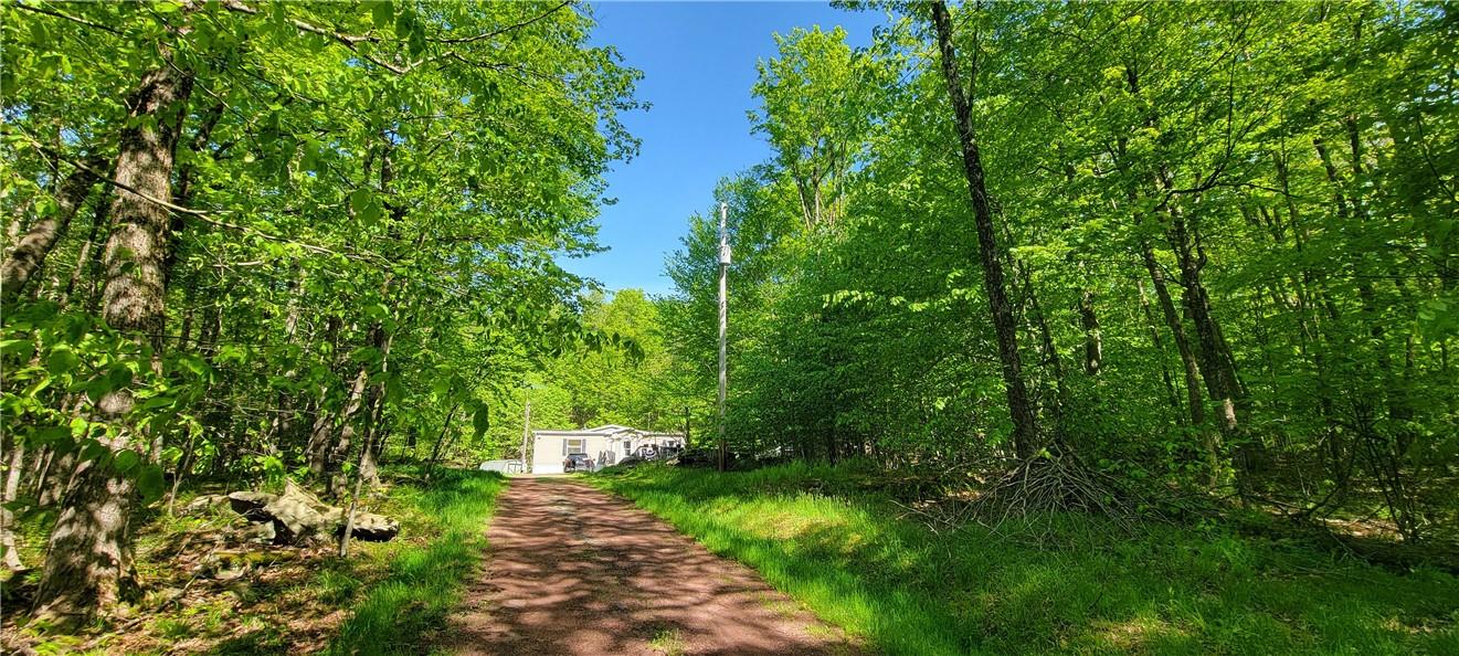 27 Birch Lane, Livingston Manor, New York image 26