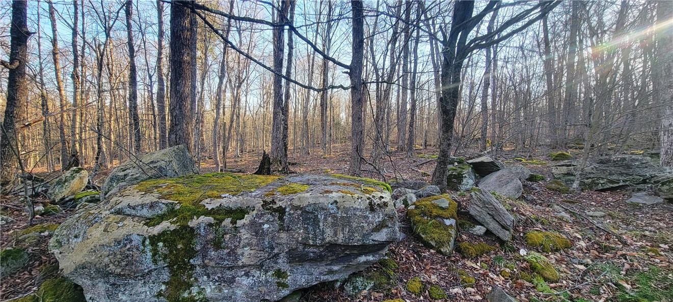 27 Birch Lane, Livingston Manor, New York image 30