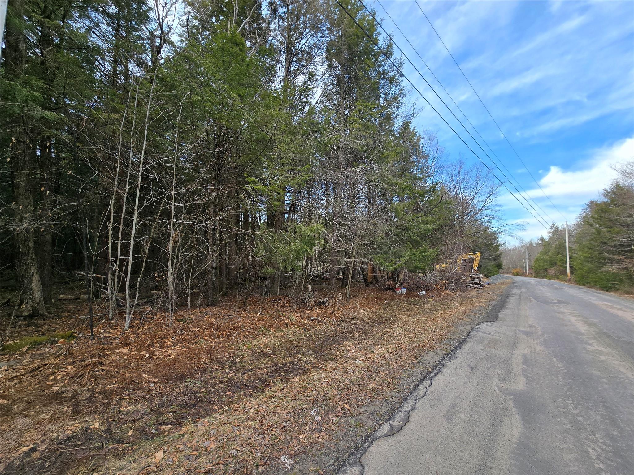 8217 W Breezy Hill Road, Parksville, New York image 15