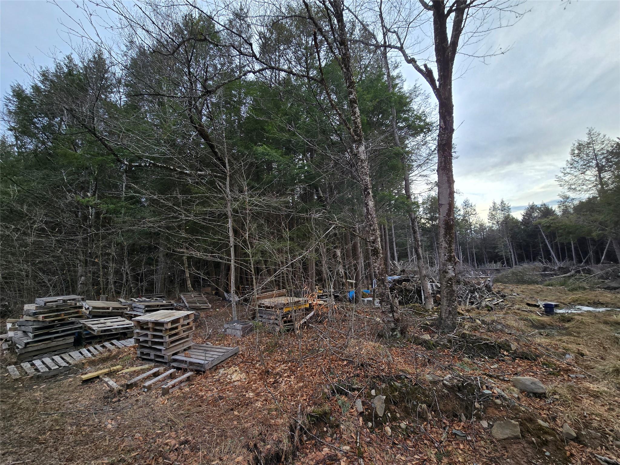 8217 W Breezy Hill Road, Parksville, New York image 14