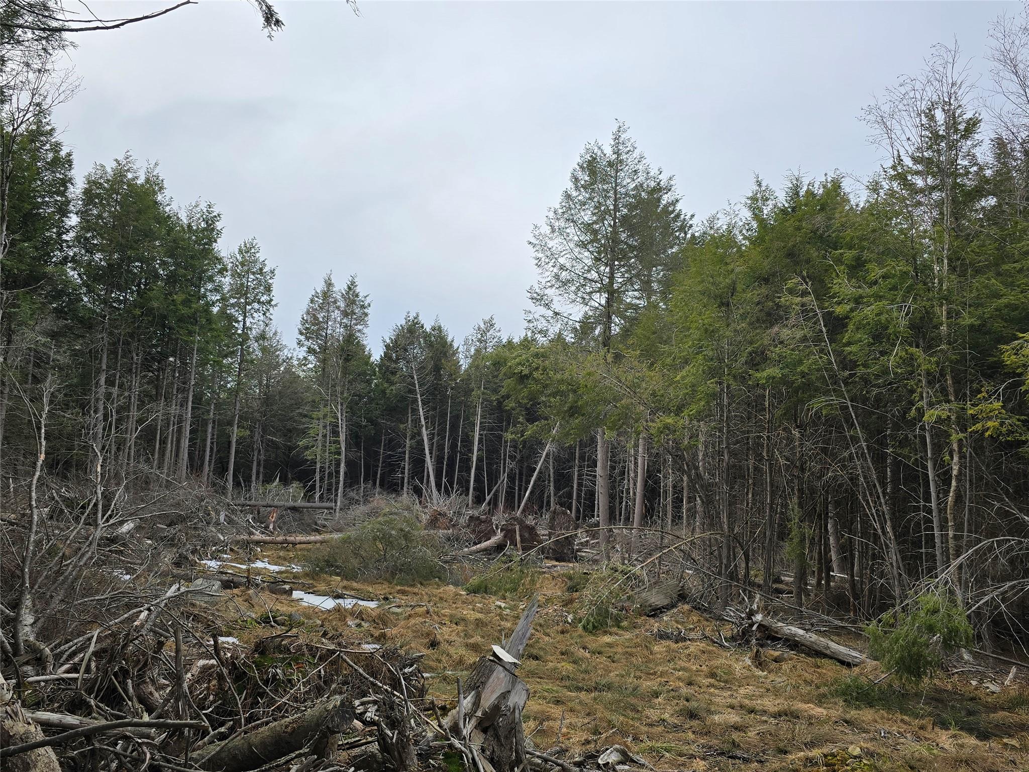 8217 W Breezy Hill Road, Parksville, New York image 4