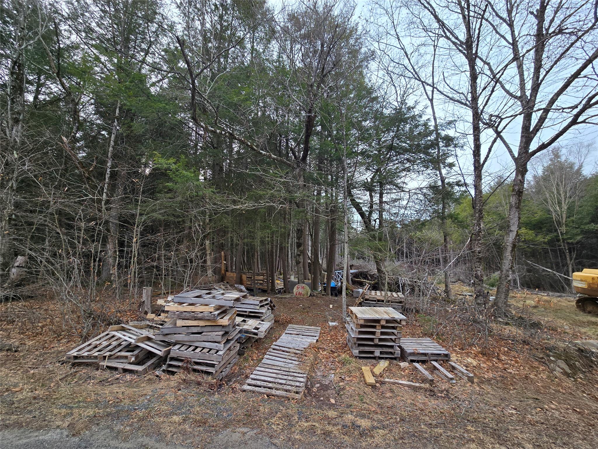 8217 W Breezy Hill Road, Parksville, New York image 19