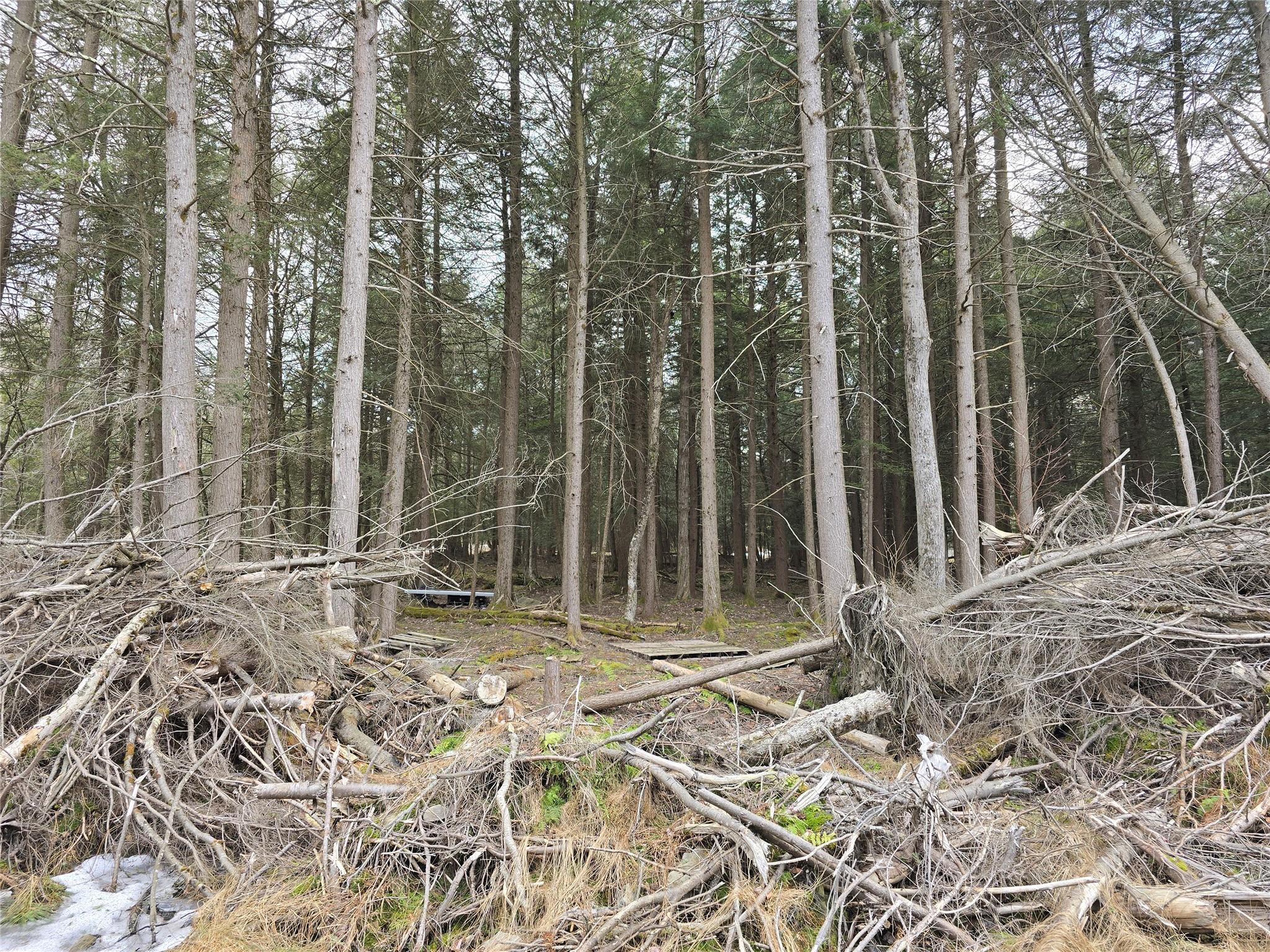 8217 W Breezy Hill Road, Parksville, New York image 30