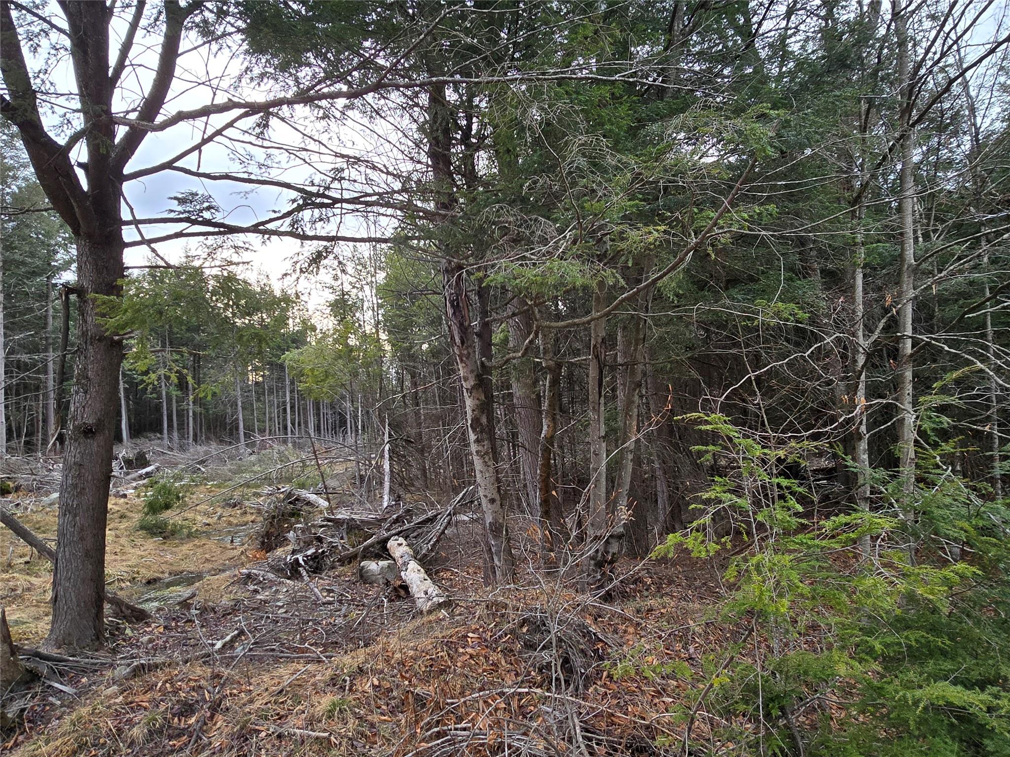 8217 W Breezy Hill Road, Parksville, New York image 12
