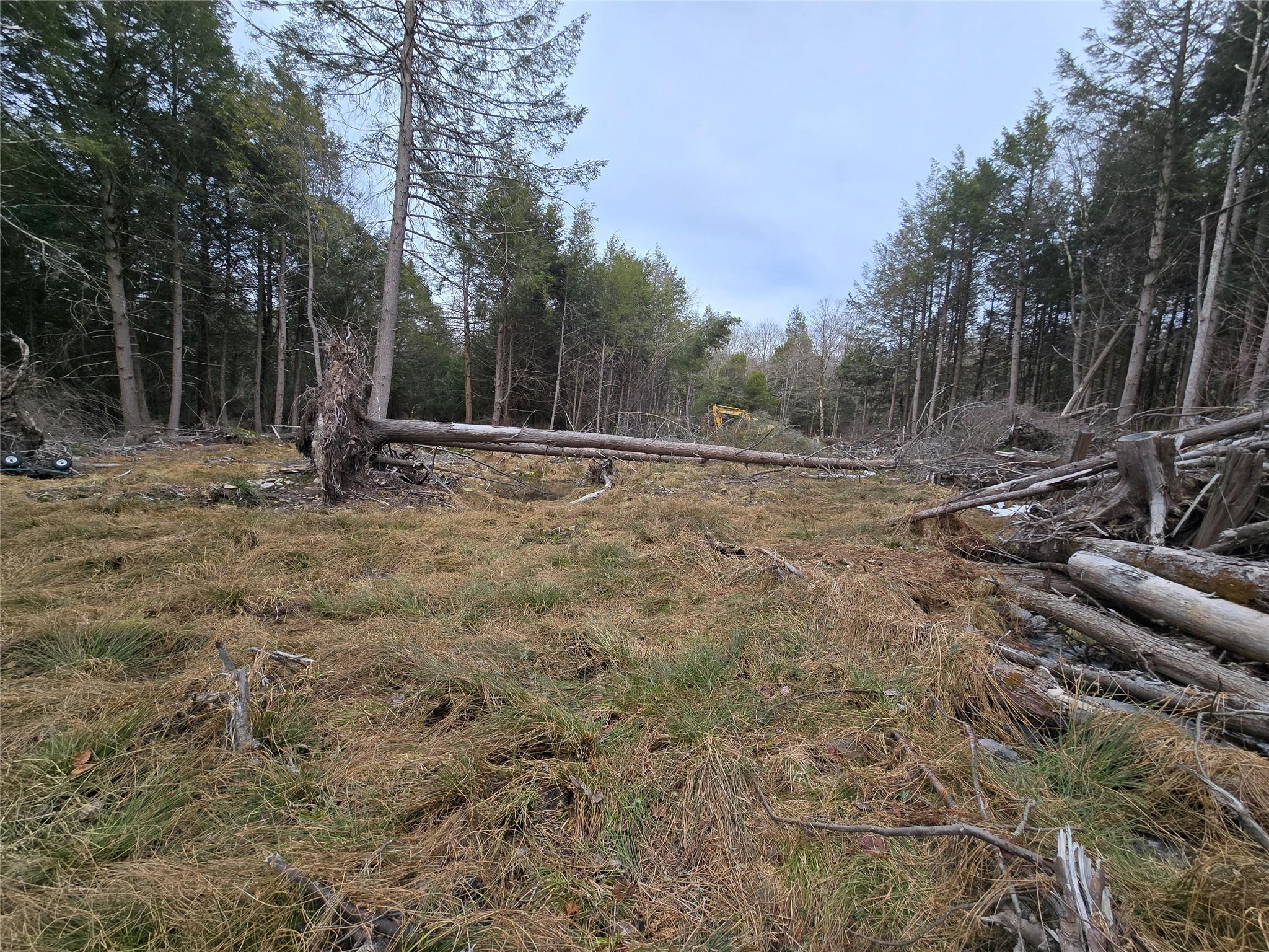8217 W Breezy Hill Road, Parksville, New York image 3