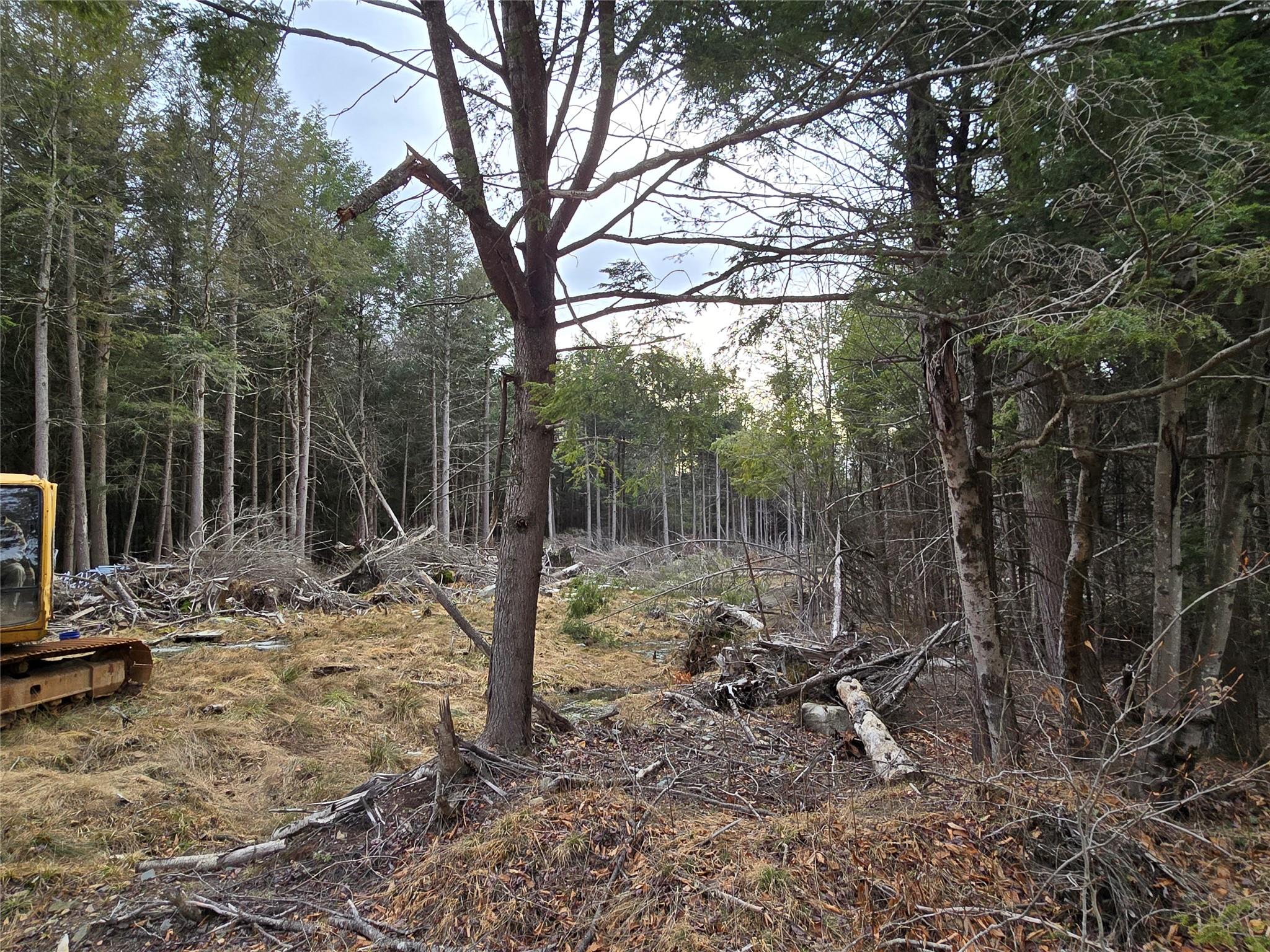8217 W Breezy Hill Road, Parksville, New York image 11