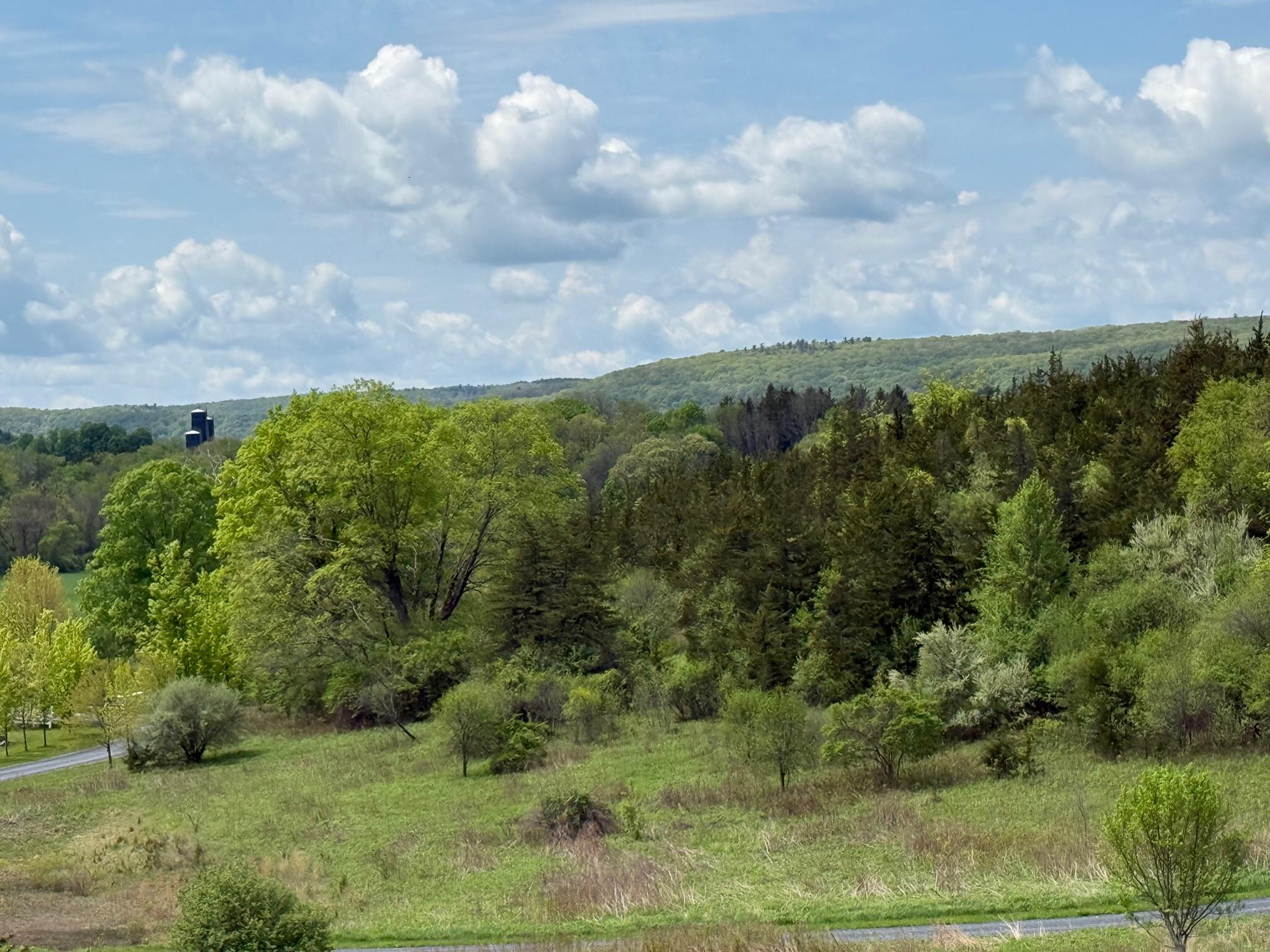 Lot 4 Westerly Ridge Drive, Amenia, New York image 8