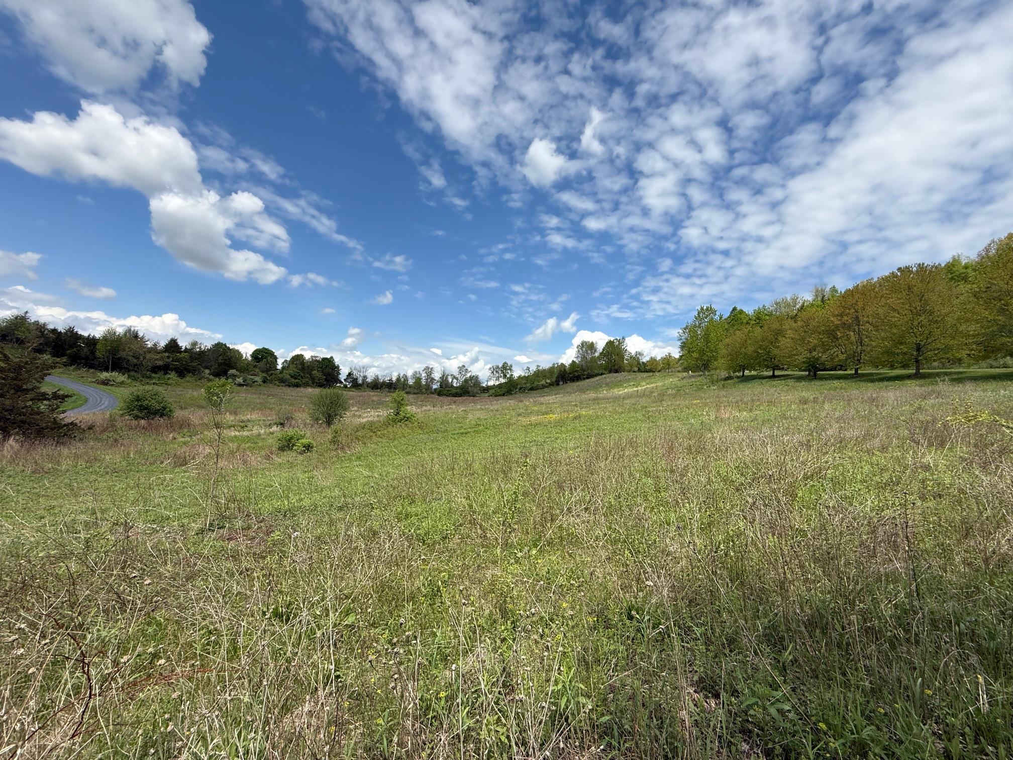 Lot 4 Westerly Ridge Drive, Amenia, New York image 3
