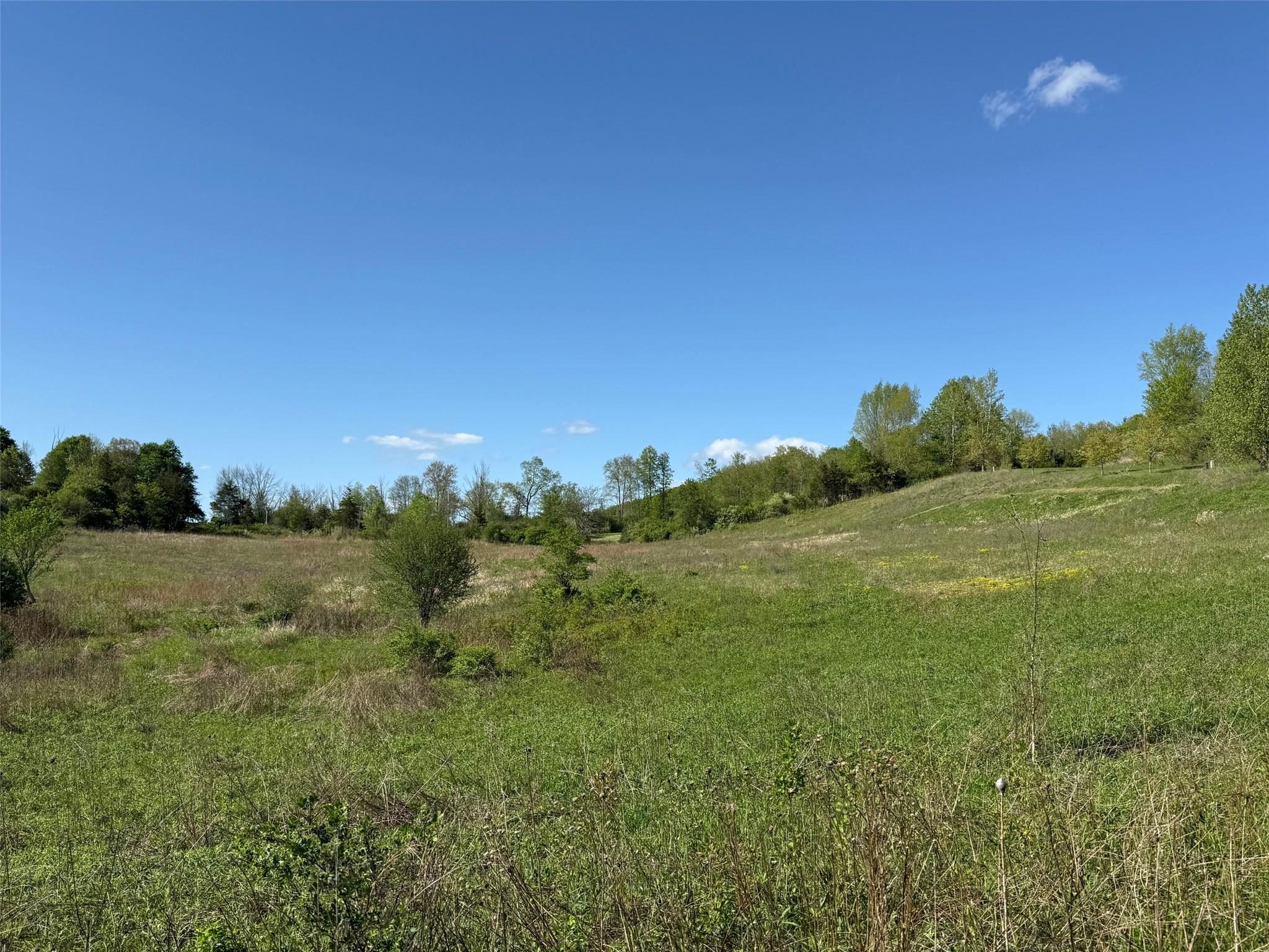 Lot 4 Westerly Ridge Drive, Amenia, New York image 9