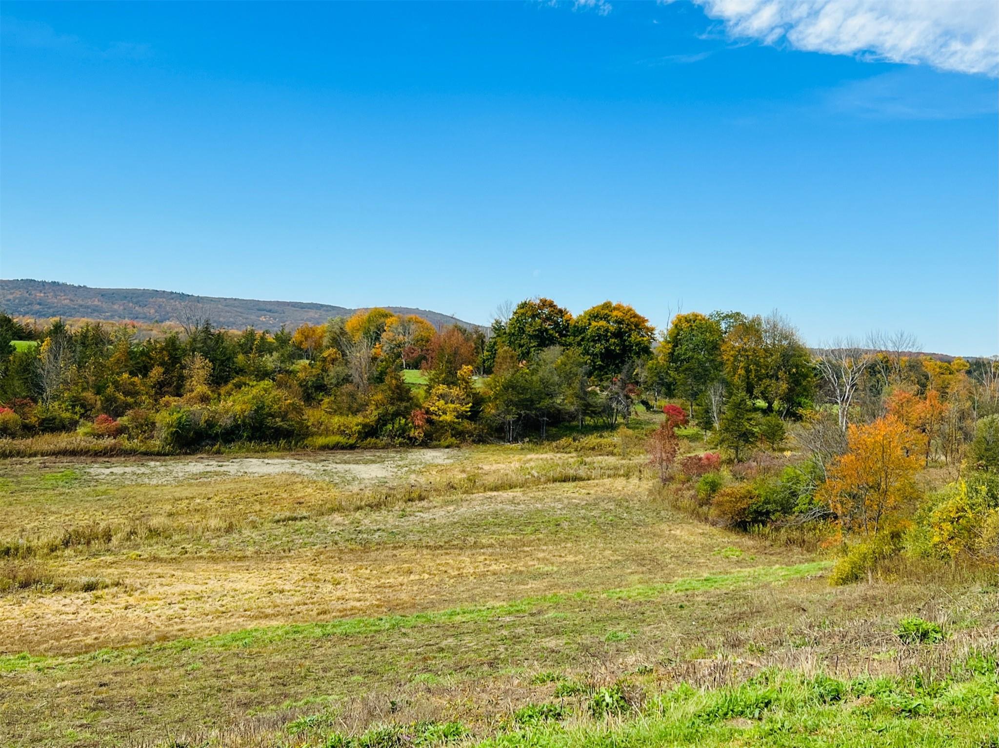 Lot 4 Westerly Ridge Drive, Amenia, New York image 2