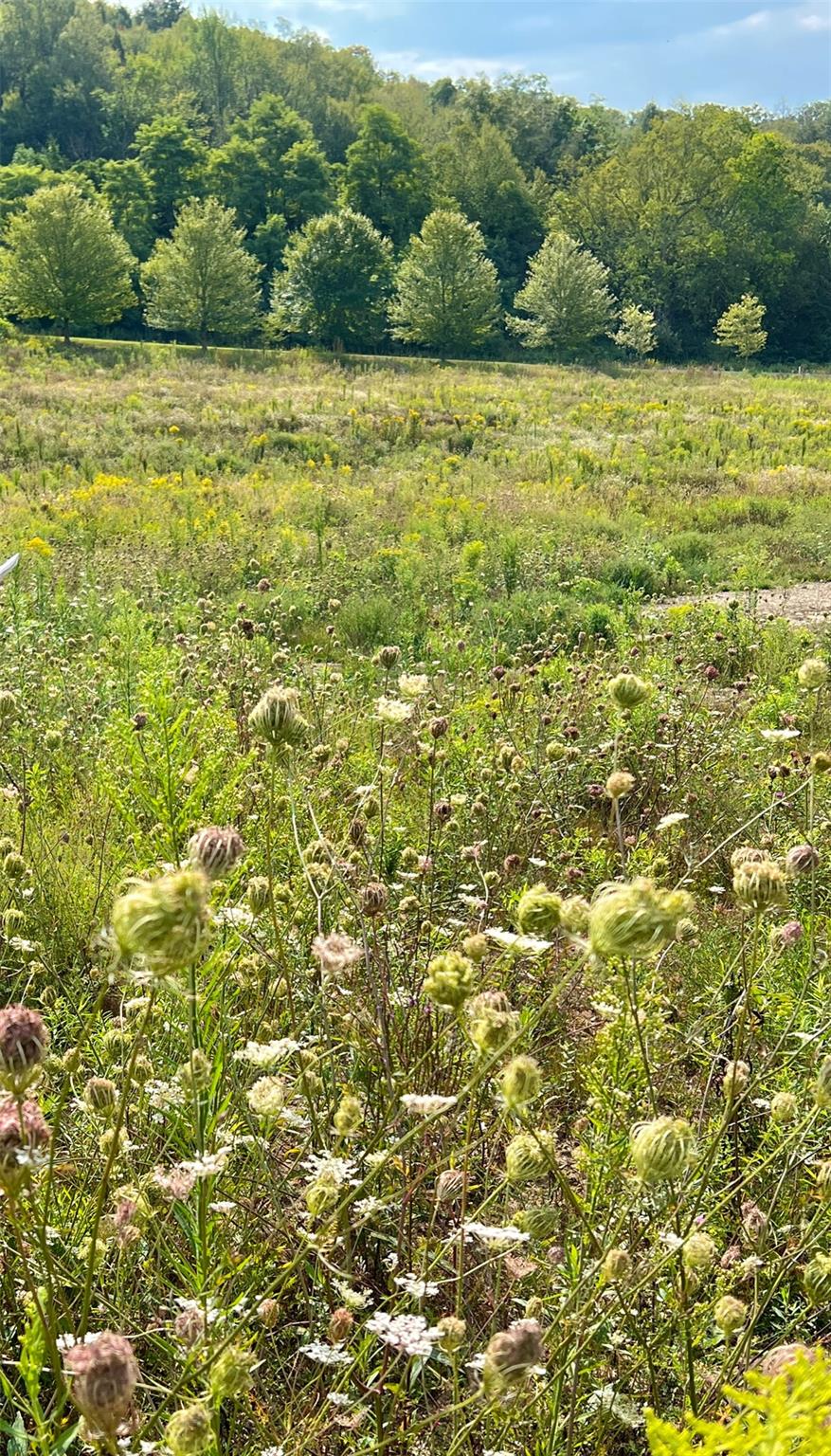 Lot 4 Westerly Ridge Drive, Amenia, New York image 5