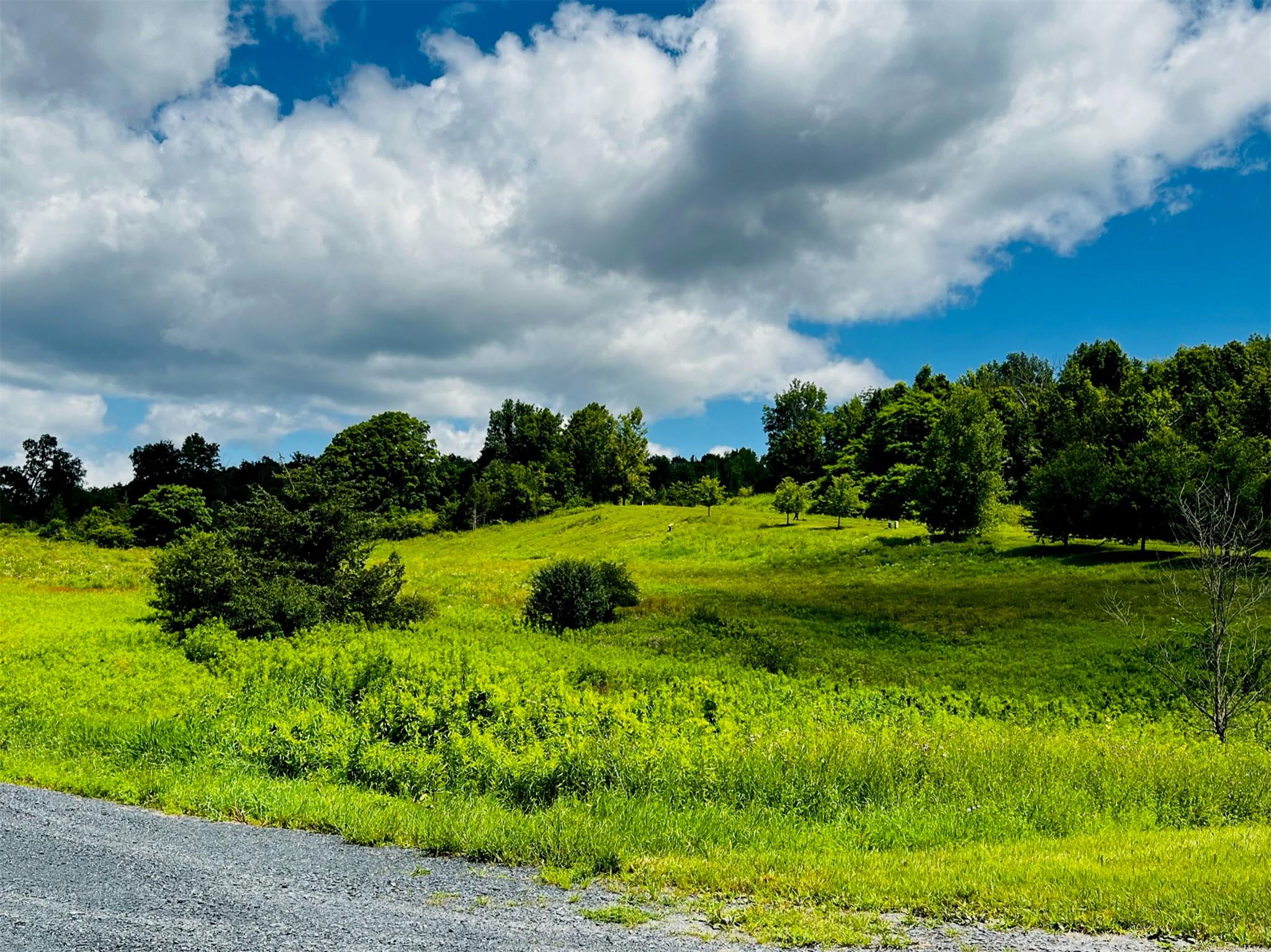Lot 4 Westerly Ridge Drive, Amenia, New York image 10