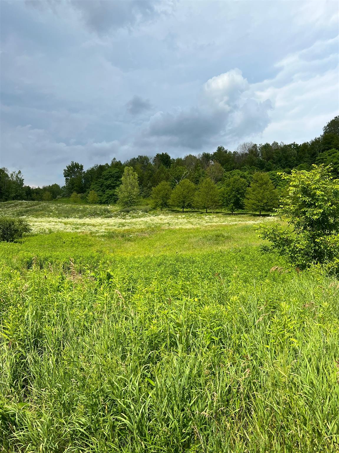 Lot 4 Westerly Ridge Drive, Amenia, New York image 6