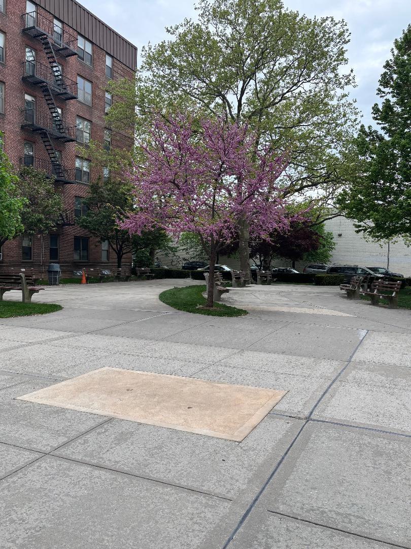 2170 Brigham St #4H, Brooklyn, New York image 3