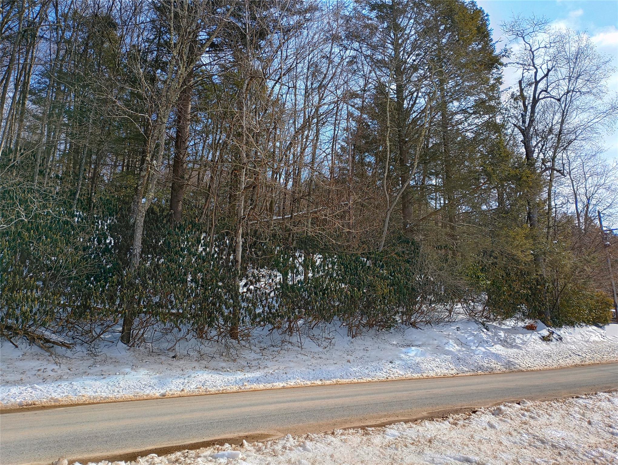 Benton Hollow Road, Neversink, Florida image 4