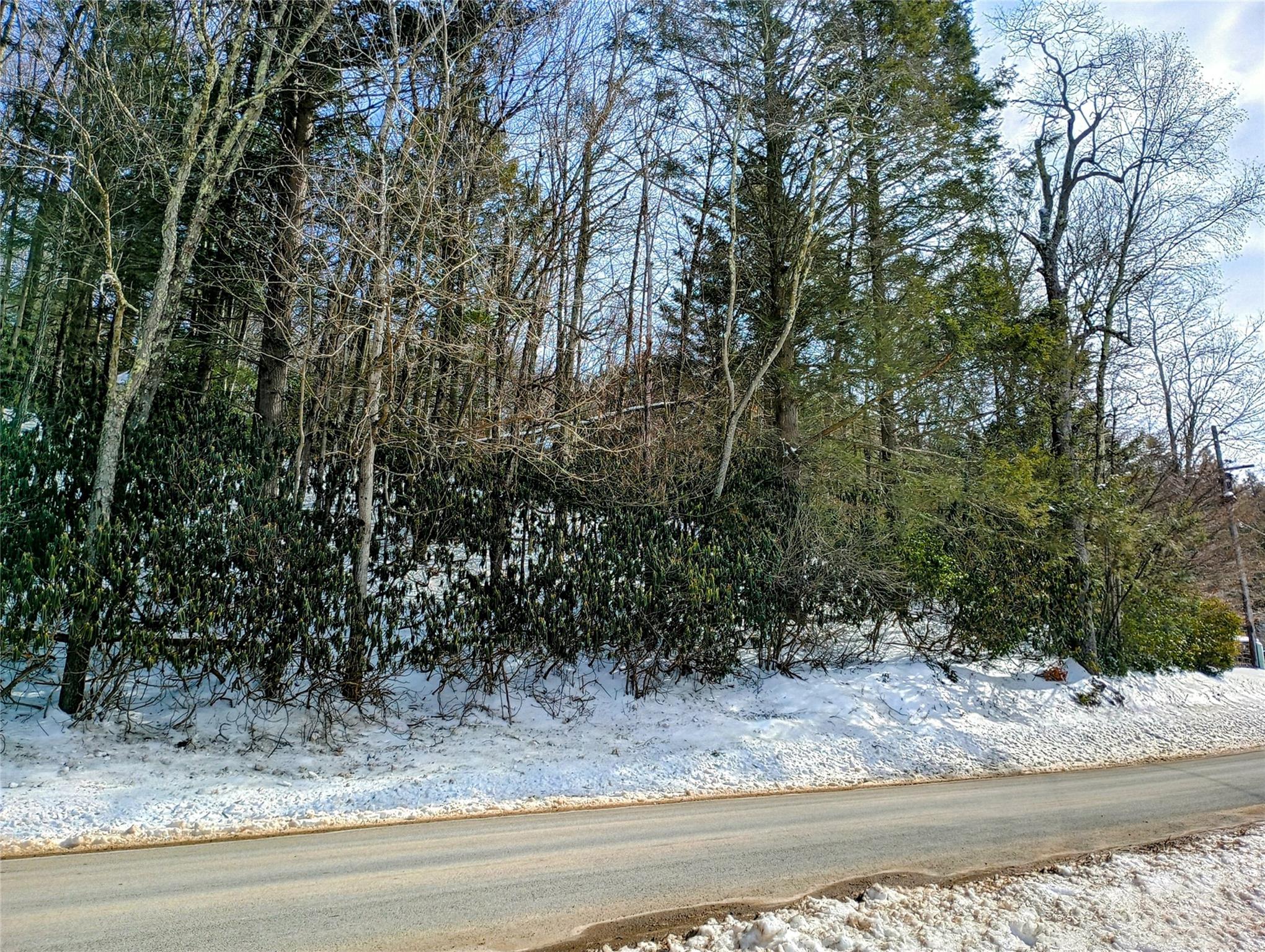 Benton Hollow Road, Neversink, Florida image 1