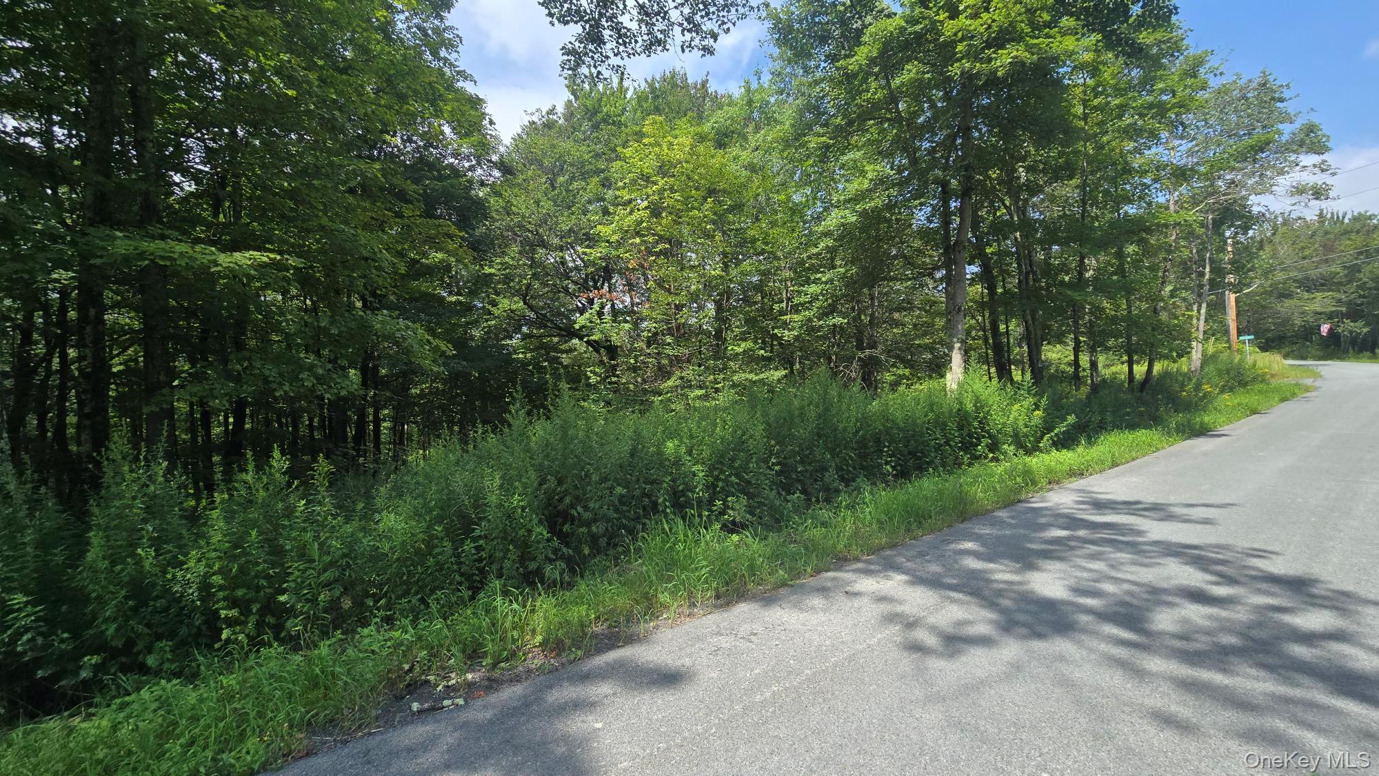 Knickerbocker Road