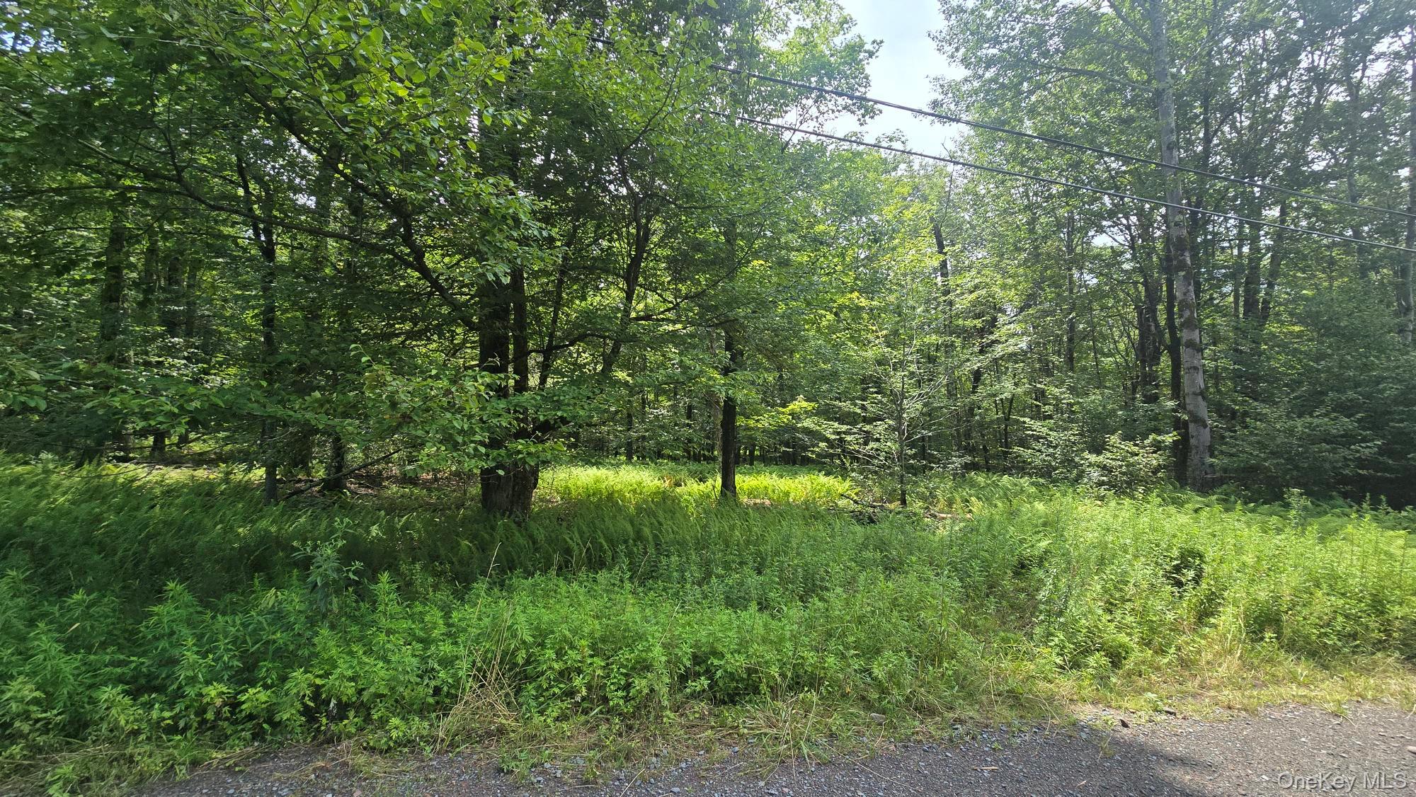Knickerbocker Road