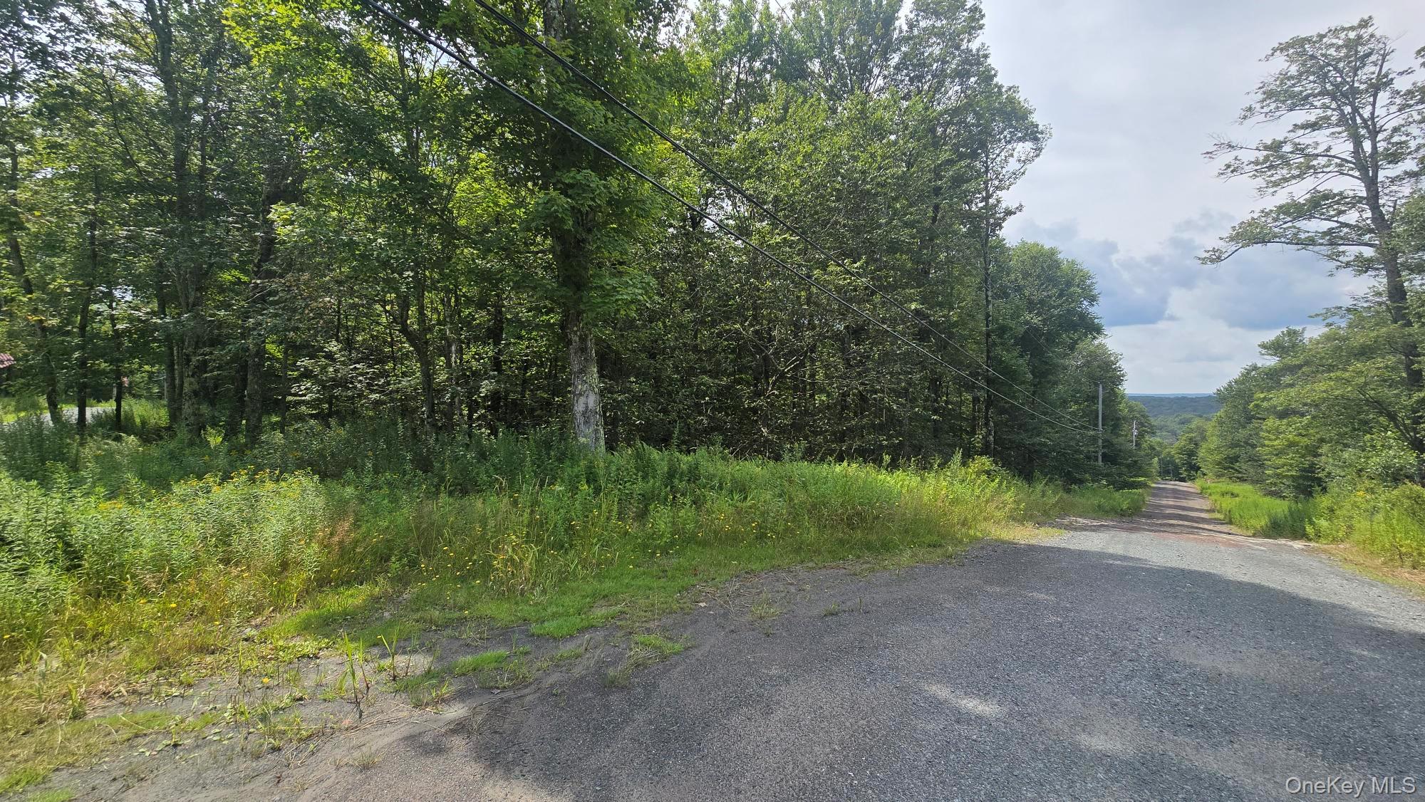 Knickerbocker Road