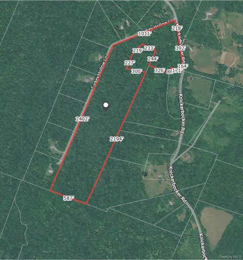 Vacant Land For Sale - Knickerbocker Road<br/> Livingston Manor, NY 12758