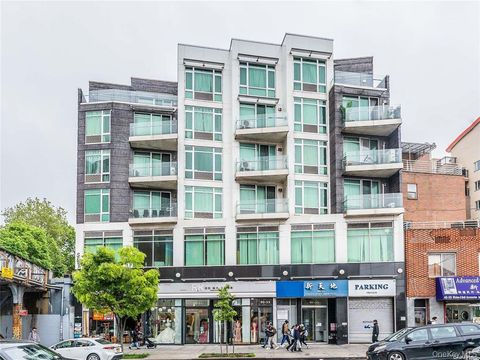 40-55 College Point Blvd 3A Flushing NY 11354