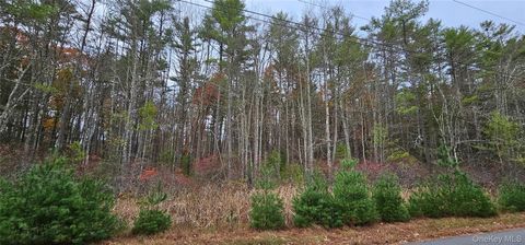 Vacant Land For Sale - LOT 28 Summit Drive<br/> Yulan, NY 12792