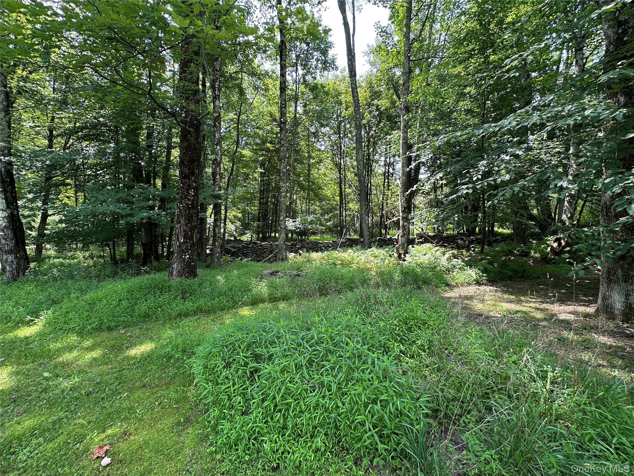 81 Lindholm Road