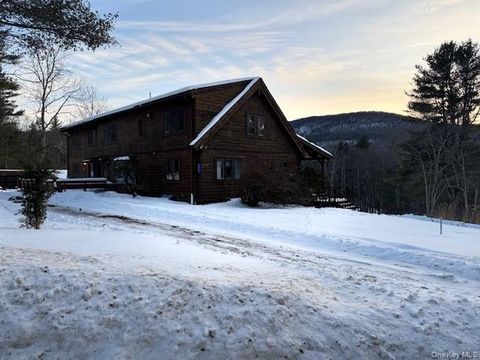 Homes For Sale - 5597 Red Hill Road<br/> Claryville, NY 12725