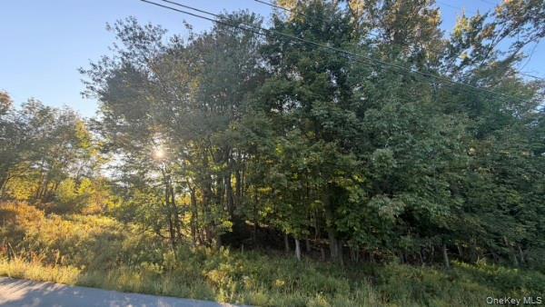 Highview Avenue