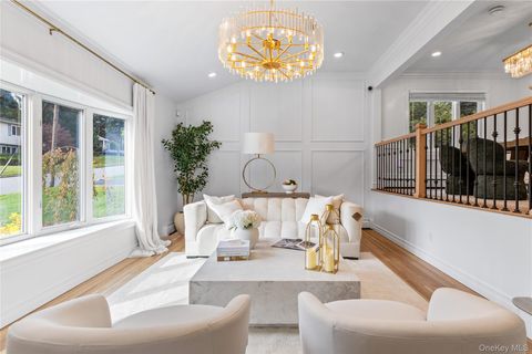 4 Long Ridge Road Plainview NY 11803