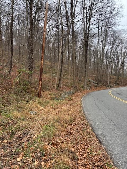 Vacant Land For Sale - 82 Wiccopee Road<br/> Putnam Valley, NY 10579