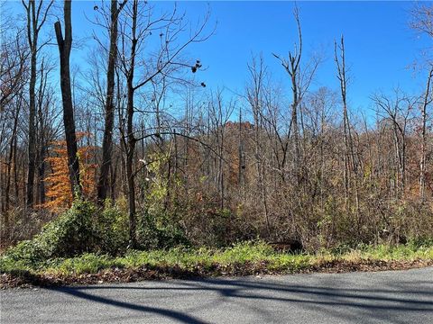 Vacant Land For Sale - Lake Shore Drive<br/> Pine Bush, NY 12566