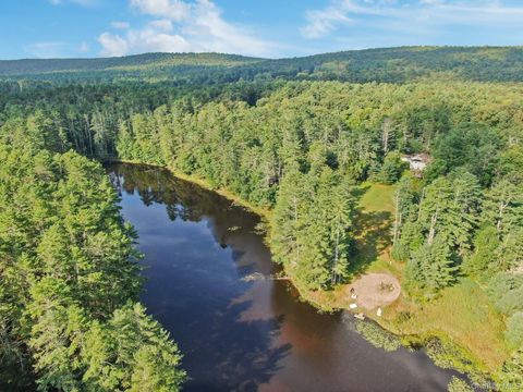 Homes For Sale - 86 Beaver Brook Road<br/> Sullivan County, Yulan, NY 12764
