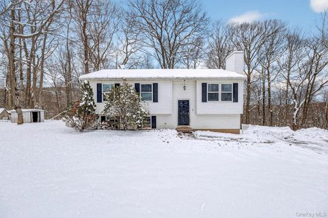 Homes For Sale - 11 Park Lane<br/> Holmes, NY 12531