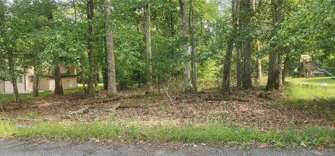 Chelsea Lane Rock Hill NY 12775