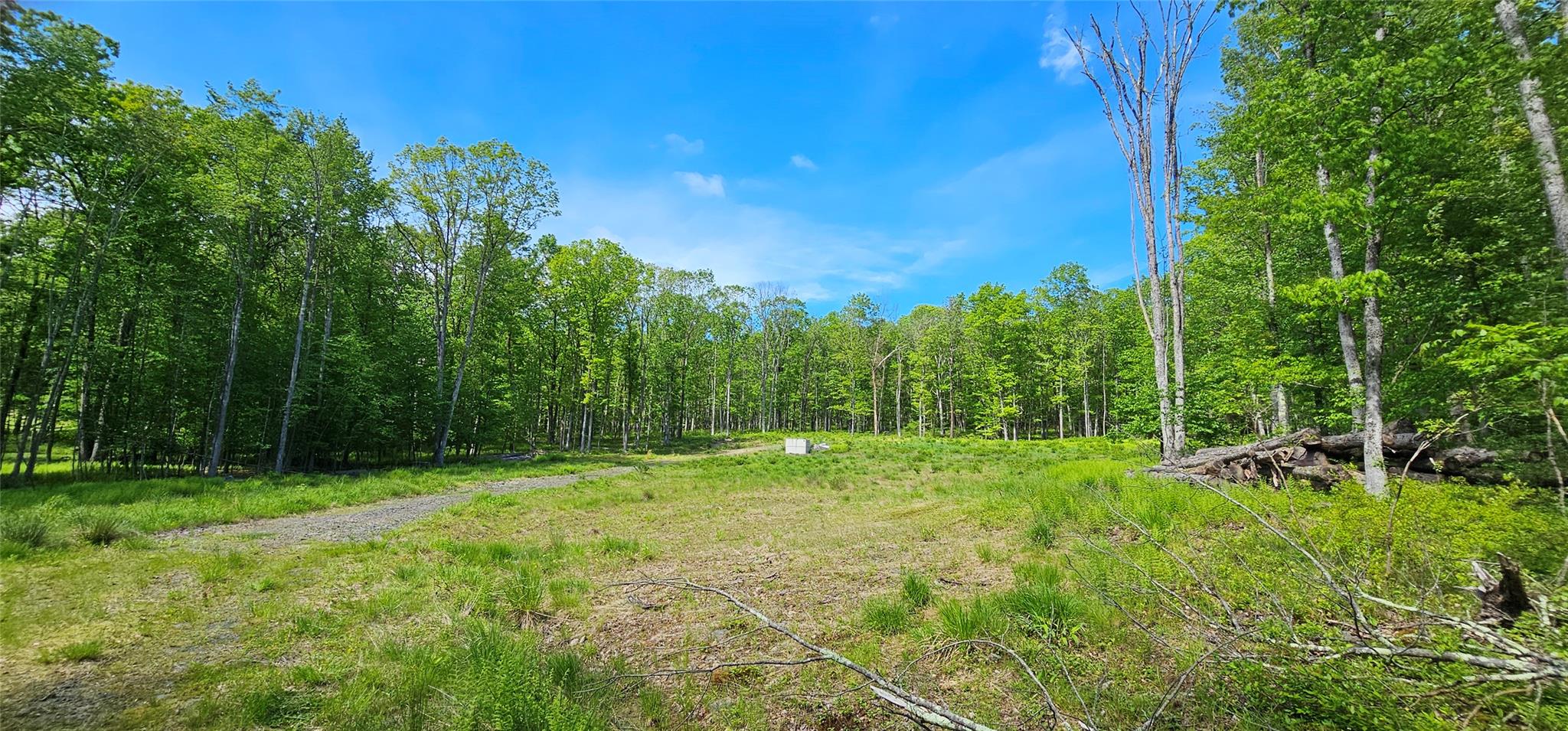 Lot 61 Cushetunk Drive, Cochecton, New York image 12