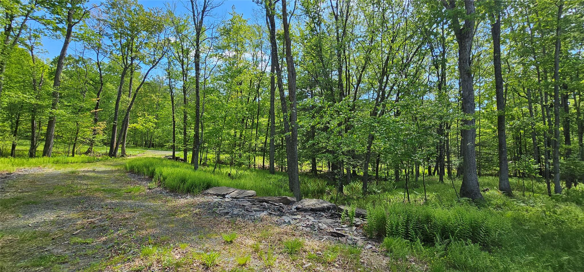Lot 61 Cushetunk Drive, Cochecton, New York image 13