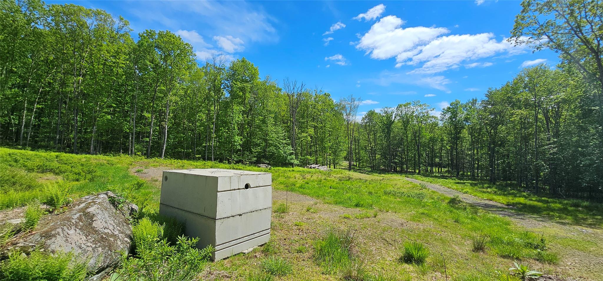 Lot 61 Cushetunk Drive, Cochecton, New York image 9