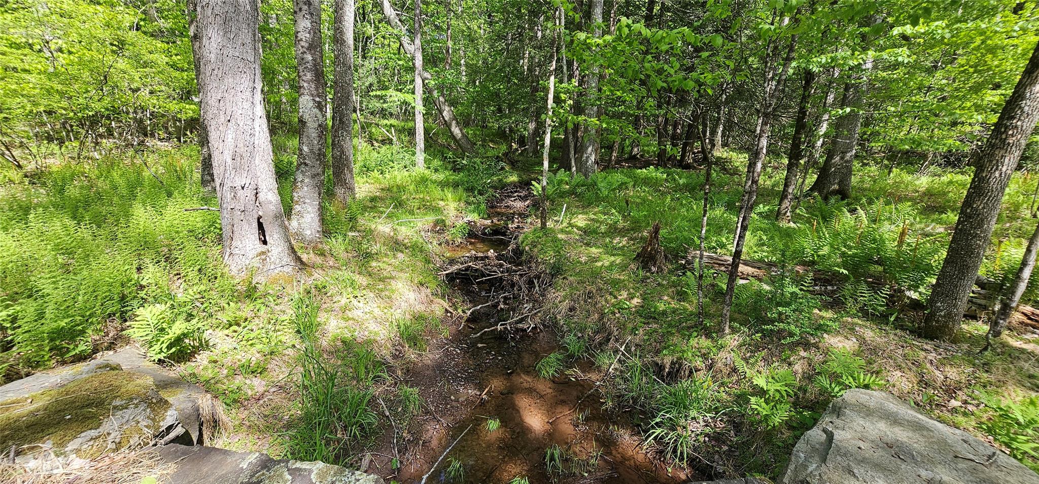 Lot 61 Cushetunk Drive, Cochecton, New York image 17