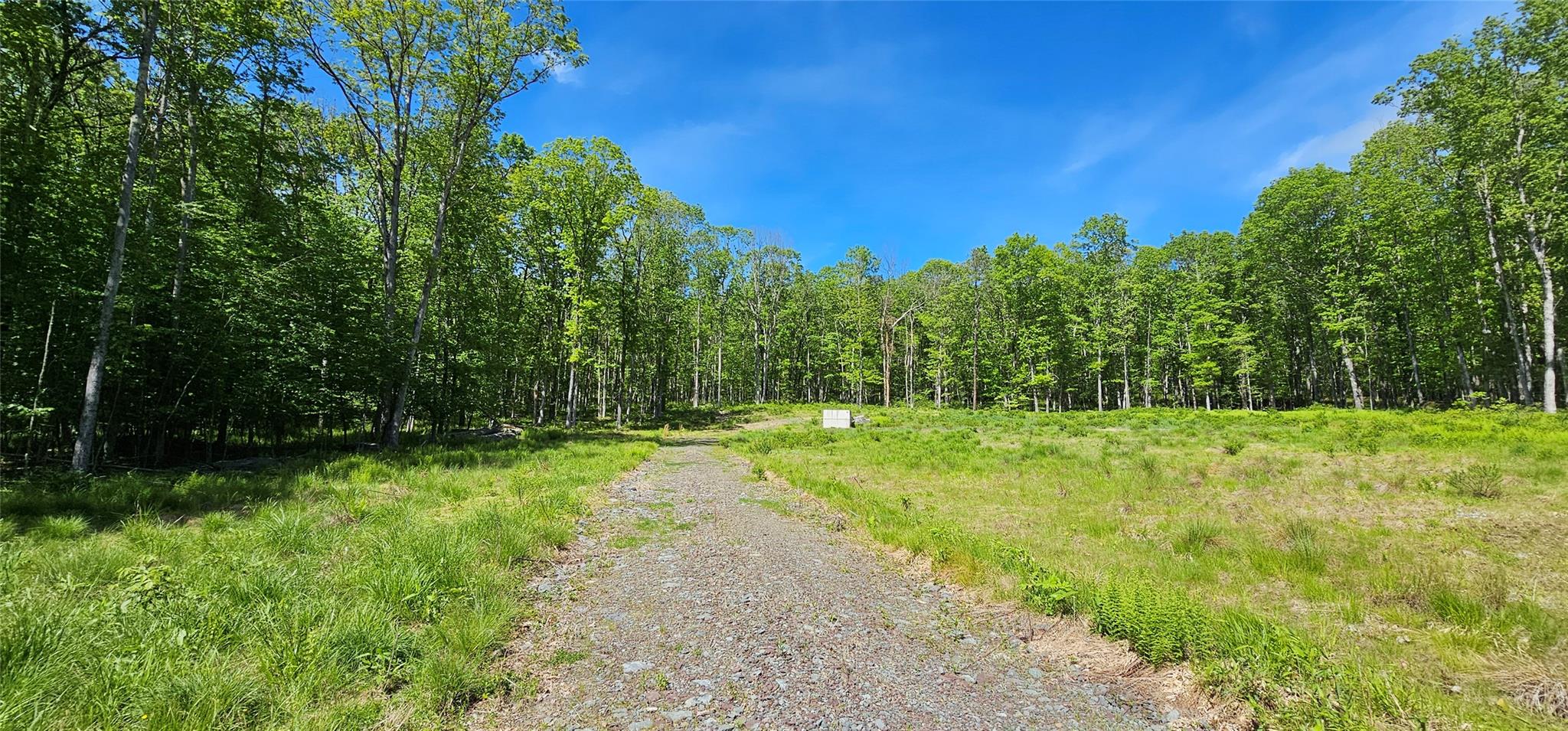 Lot 61 Cushetunk Drive, Cochecton, New York image 6