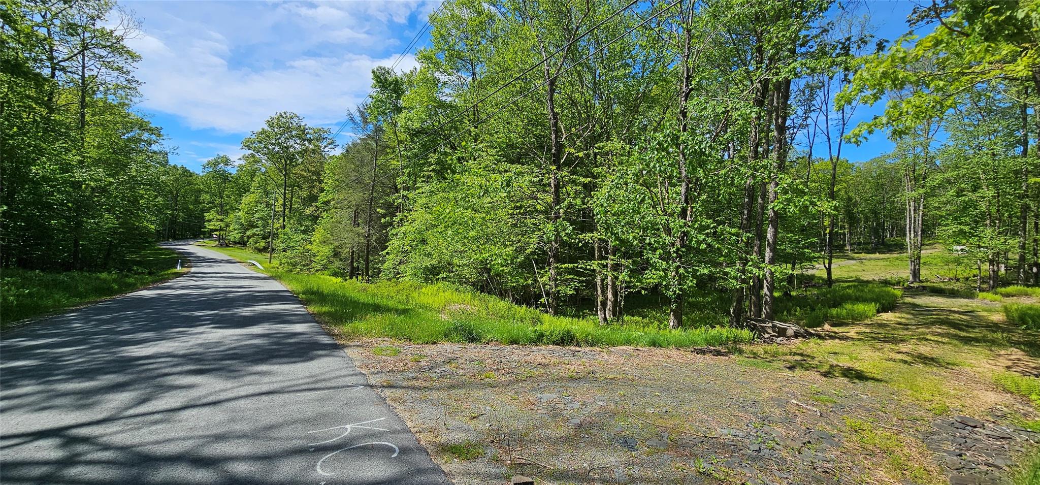 Lot 61 Cushetunk Drive, Cochecton, New York image 2