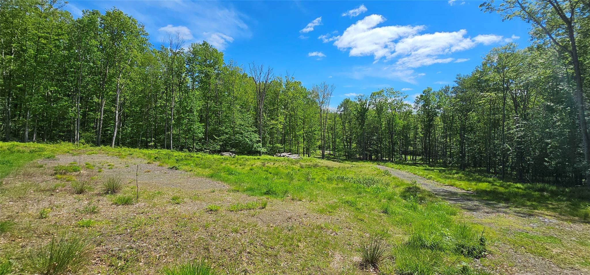 Lot 61 Cushetunk Drive, Cochecton, New York image 11