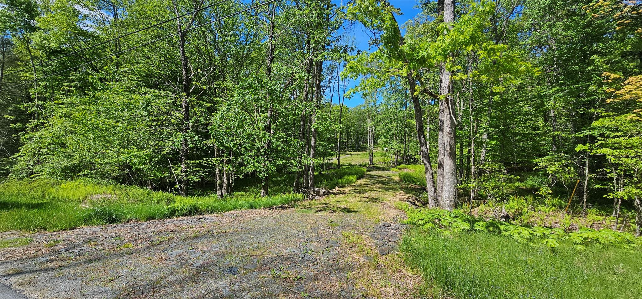 Lot 61 Cushetunk Drive, Cochecton, New York image 1