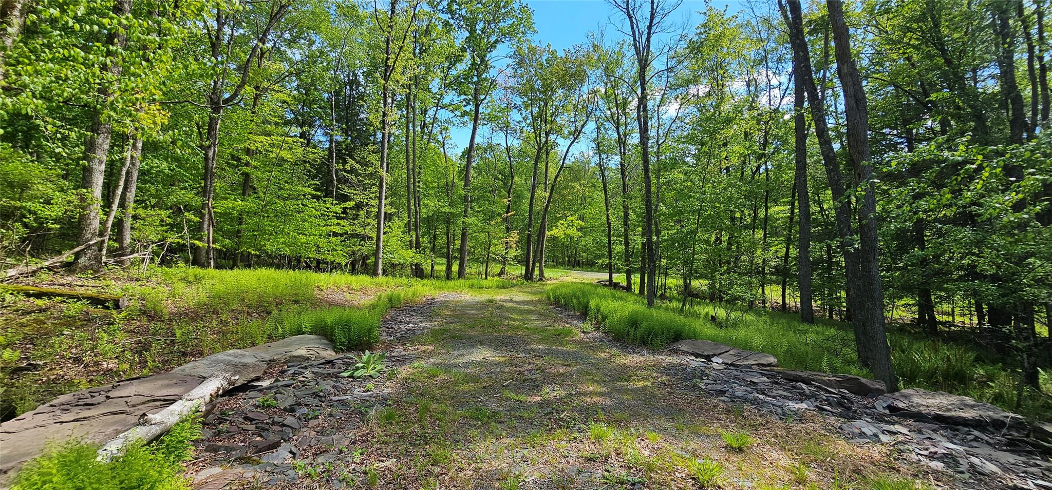 Lot 61 Cushetunk Drive, Cochecton, New York image 14