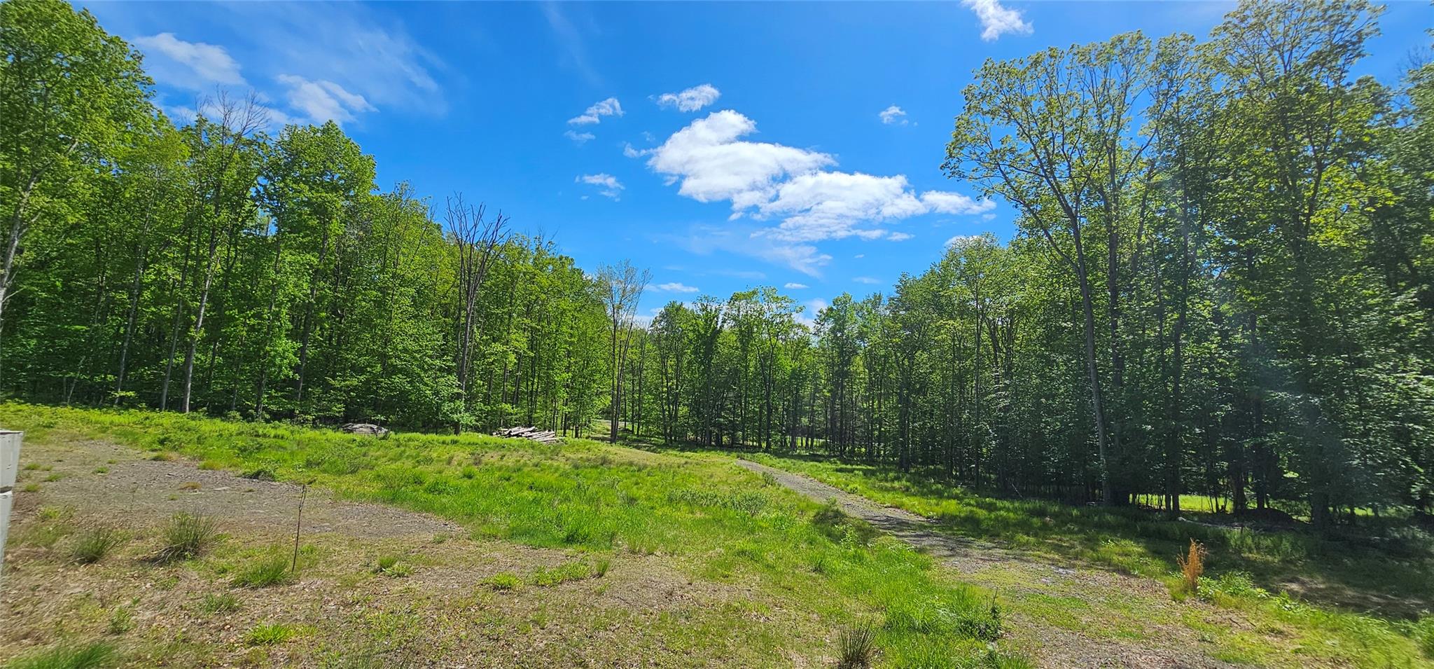 Lot 61 Cushetunk Drive, Cochecton, New York image 10