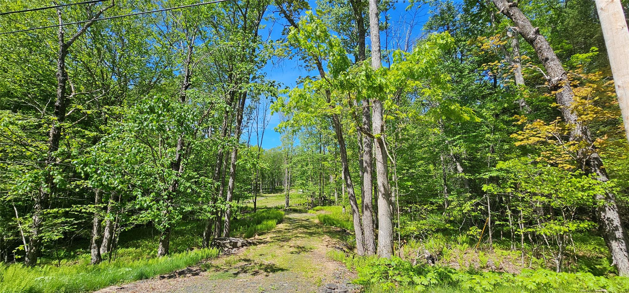 Lot 61 Cushetunk Drive, Cochecton, New York image 3